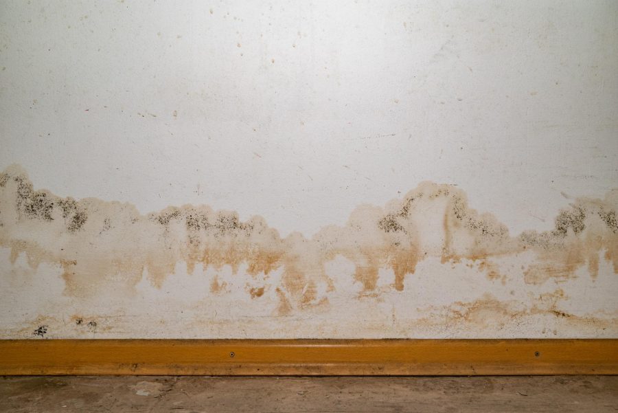 Umidade na parede: saiba como identificar e prevenir
