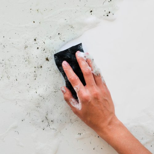 Mofo no Banheiro: Como Resolver e Evitar que Volte de Forma Definitiva